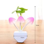 Colorful Mushroom Night Light - view 7